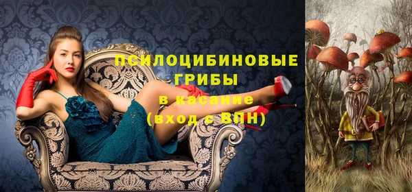 спайс Алексеевка