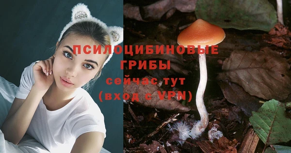 тгк Алзамай