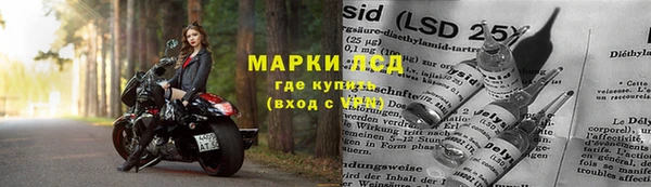 тгк Алзамай