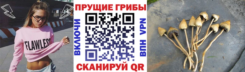 Псилоцибиновые грибы ЛСД  kraken рабочий сайт  Старая Купавна 